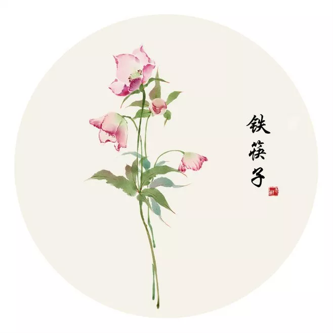 汉字也撞脸